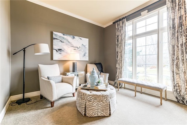 sitting room featuring carpet and crown molding