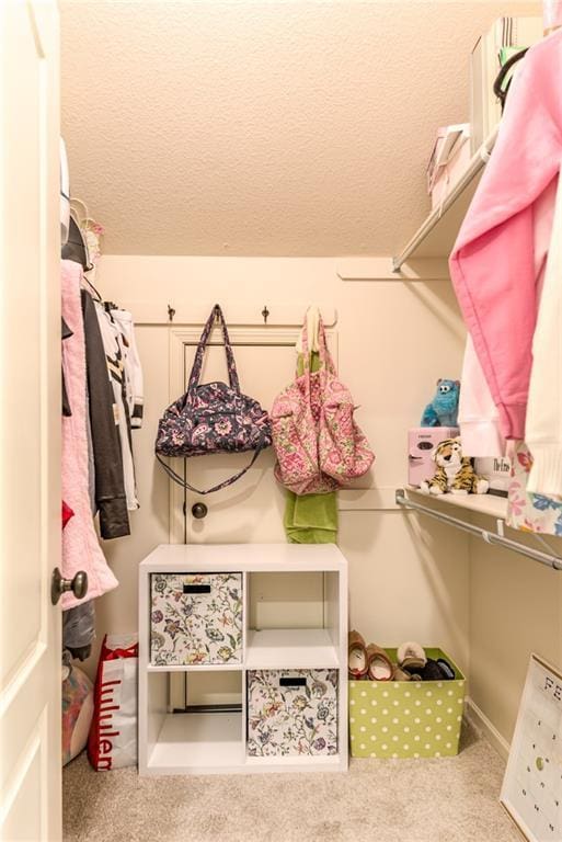 spacious closet with light carpet