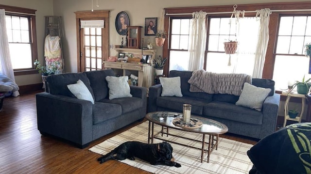 living room featuring dark hardwood / wood-style floors