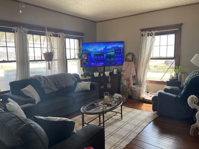 living room featuring hardwood / wood-style flooring and crown molding