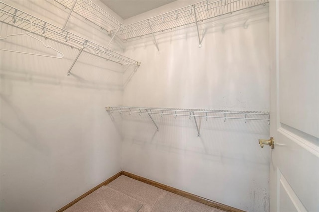 view of walk in closet