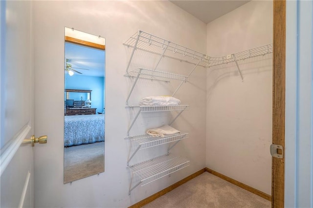 spacious closet with carpet floors