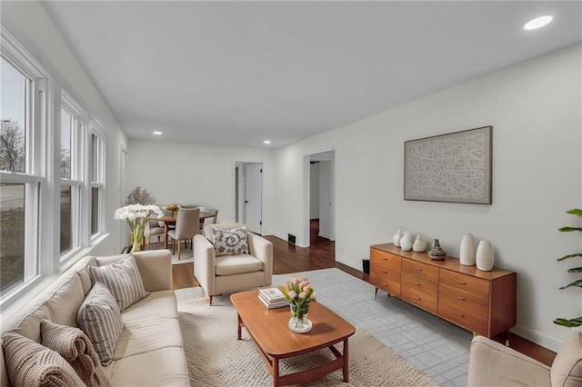 living room featuring light hardwood / wood-style floors