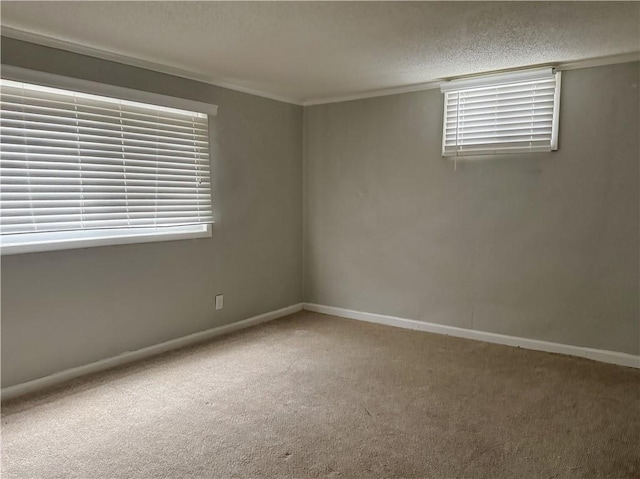 empty room featuring ornamental molding, a textured ceiling, and carpet flooring