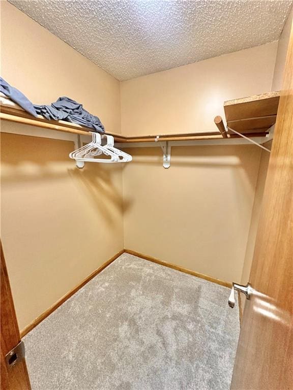 walk in closet featuring carpet flooring