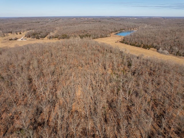 000 SE J Hwy, Collins, MO 64738