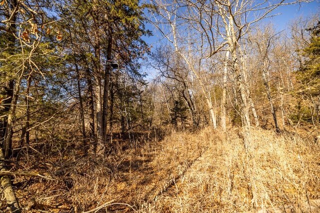000 SE J Hwy, Collins, MO 64738