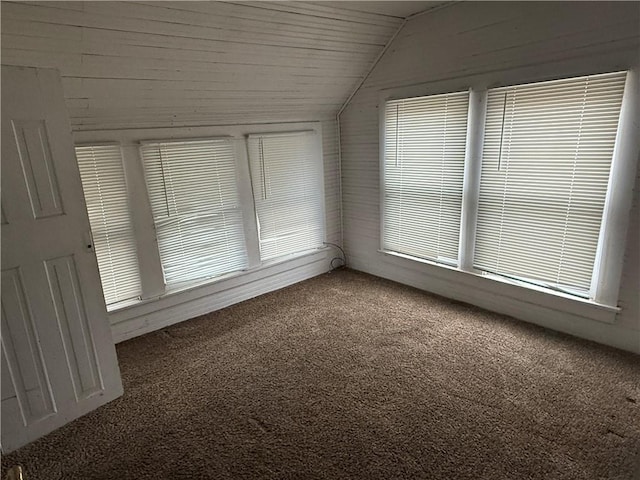 unfurnished room featuring vaulted ceiling and carpet flooring