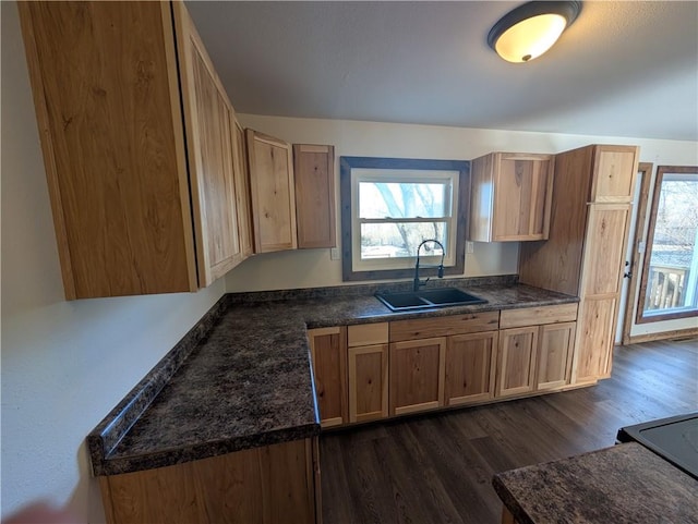 kitchen featuring sink, dark wood-type flooring, and a healthy amount of sunlight