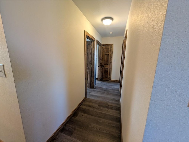 hall featuring dark wood-type flooring