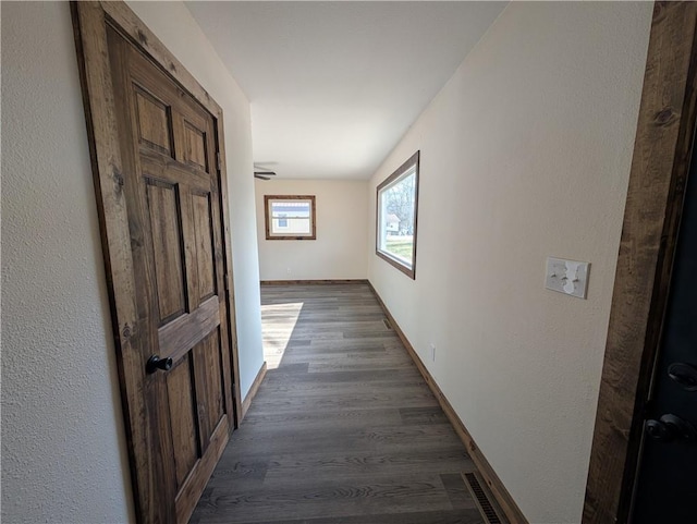 hallway featuring dark wood-type flooring