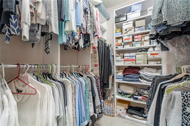 spacious closet featuring carpet flooring