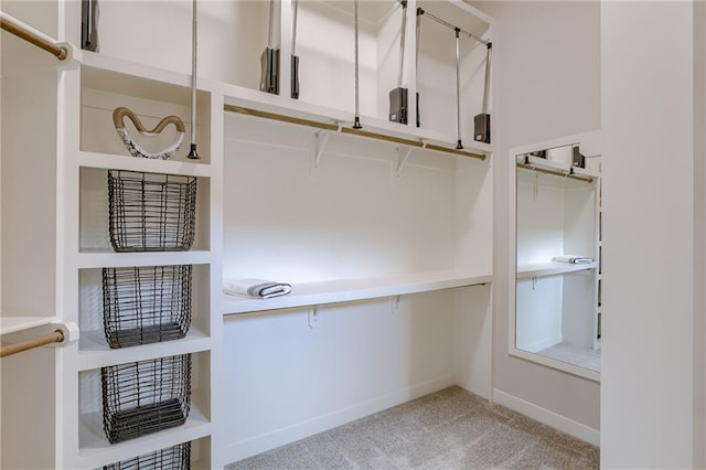 spacious closet with carpet floors