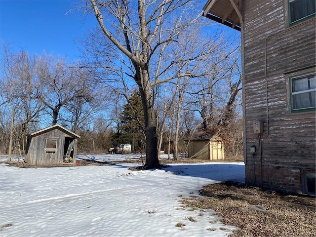 yard covered in snow with a shed