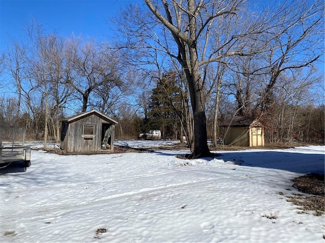 yard covered in snow with a shed