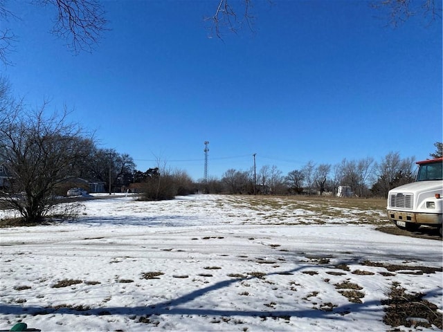 view of yard covered in snow