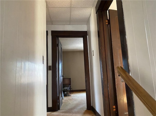 hall featuring a paneled ceiling and light carpet