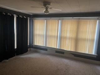 carpeted home theater with ceiling fan