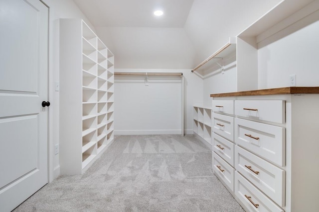 spacious closet with light carpet