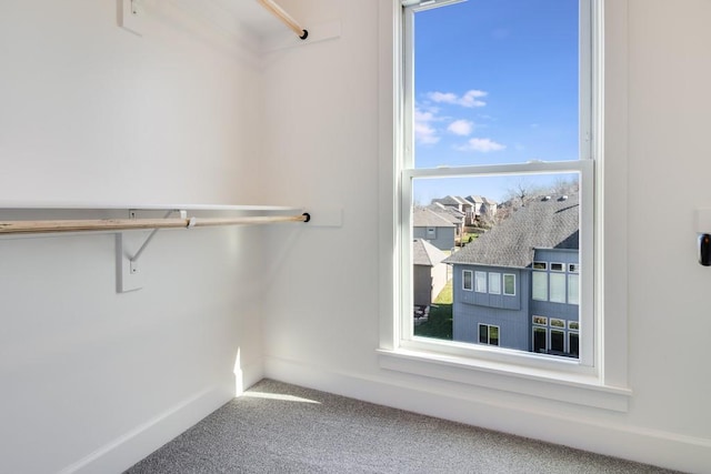 spacious closet with carpet