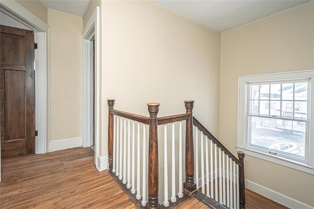 stairway with hardwood / wood-style flooring