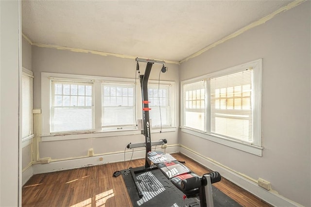 workout room featuring crown molding and dark wood-type flooring