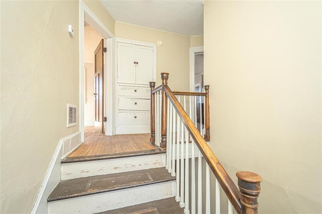 staircase featuring wood-type flooring