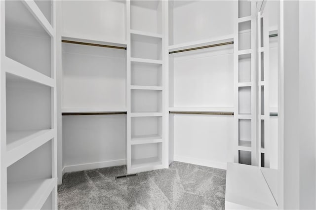 spacious closet with carpet