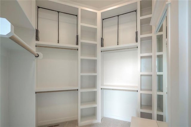 9000 N Clarion Ave, Kansas City, MO 64153 - view of spacious closet