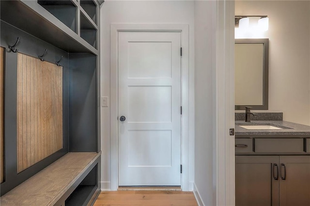 9000 N Clarion Ave, Kansas City, MO 64153 - mudroom with a sink and light wood-style flooring