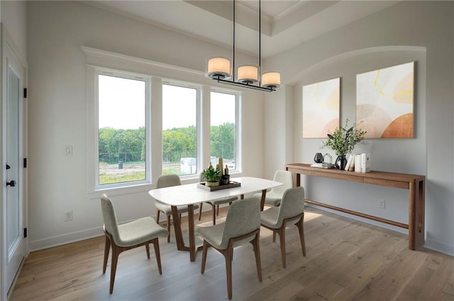 9000 N Clarion Ave, Kansas City, MO 64153 - dining area with plenty of natural light, light wood-type flooring, a chandelier, and a tray ceiling