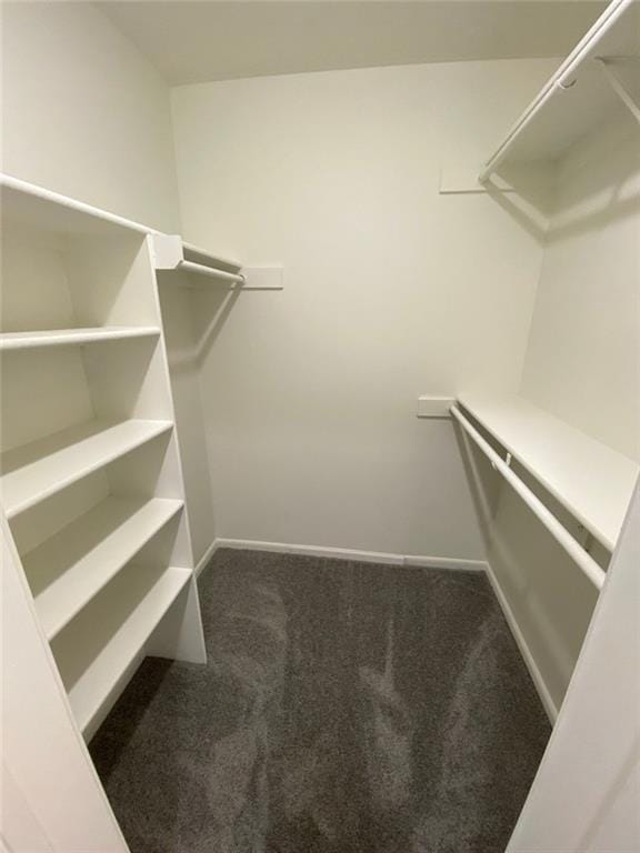 spacious closet featuring carpet floors