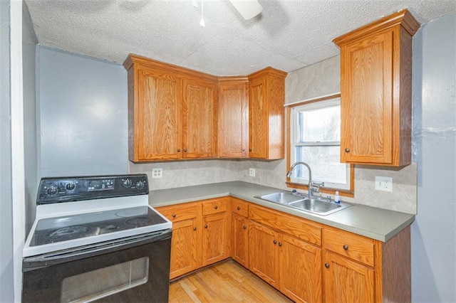 kitchen featuring sink, black electric range, a textured ceiling, ceiling fan, and light hardwood / wood-style floors