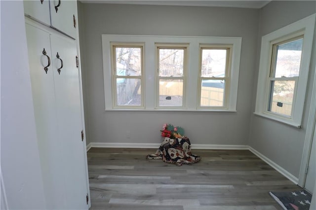 interior space with wood-type flooring