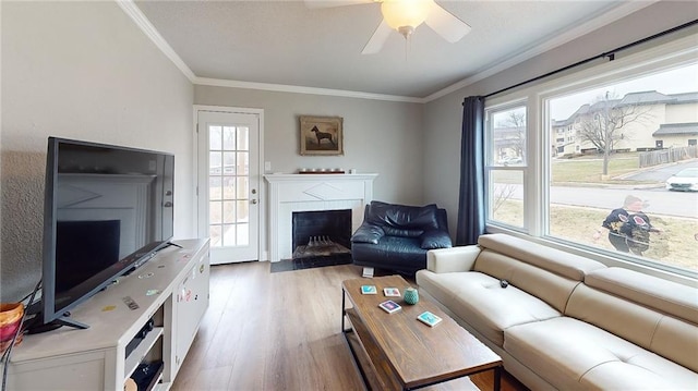 living room featuring crown molding, wood-type flooring, a tiled fireplace, and a wealth of natural light