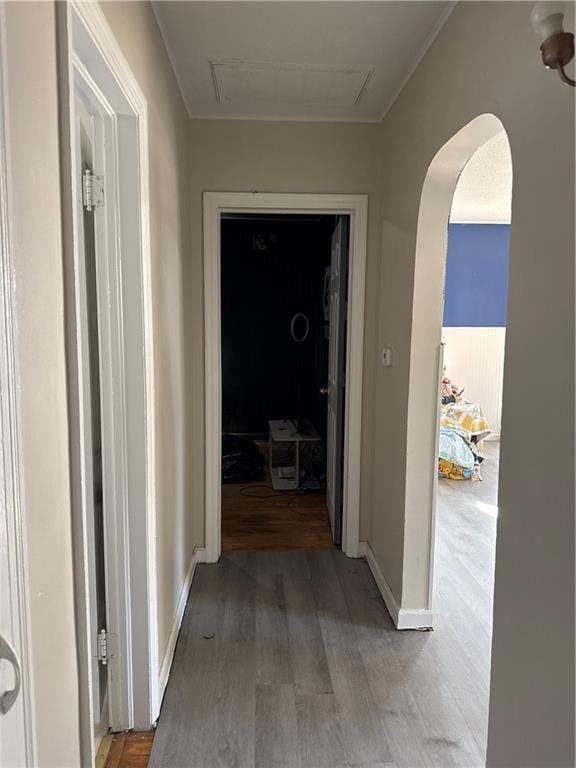 hallway featuring wood-type flooring