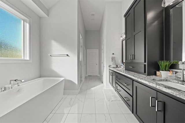 bathroom with vanity and a washtub