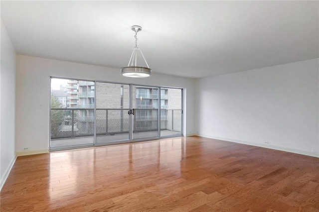 empty room with hardwood / wood-style flooring