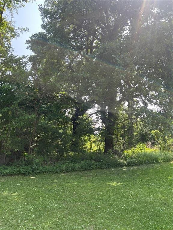 5811 Frederick Blvd, Saint Joseph, MO 64507 - view of green lawn