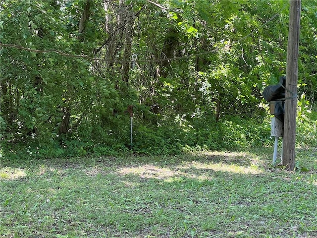 5811 Frederick Blvd, Saint Joseph, MO 64507 - view of local wilderness