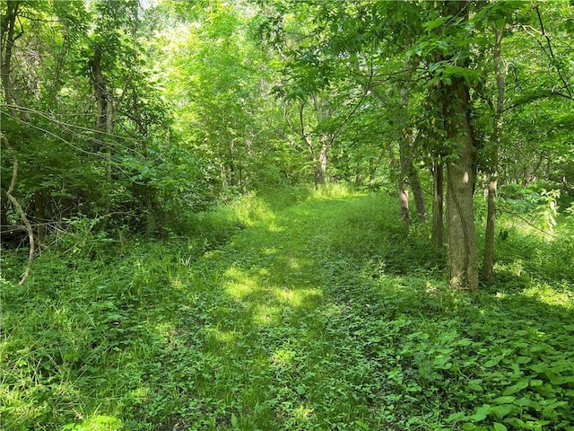 5811 Frederick Blvd, Saint Joseph, MO 64507 - view of tree filled area