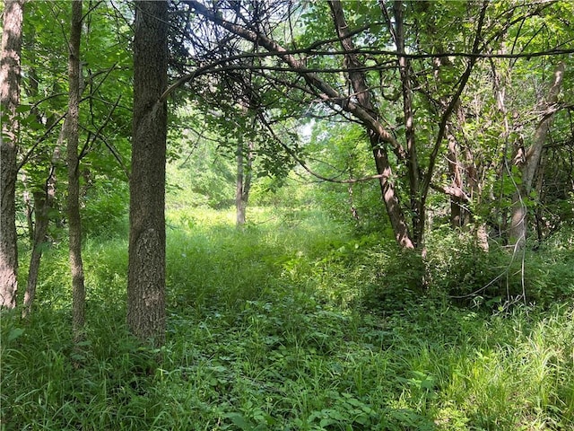 5811 Frederick Blvd, Saint Joseph, MO 64507 - view of woods