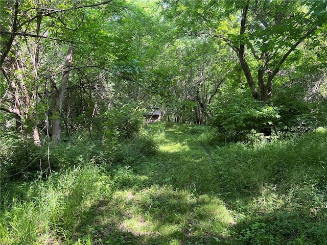 5811 Frederick Blvd, Saint Joseph, MO 64507 - view of woods