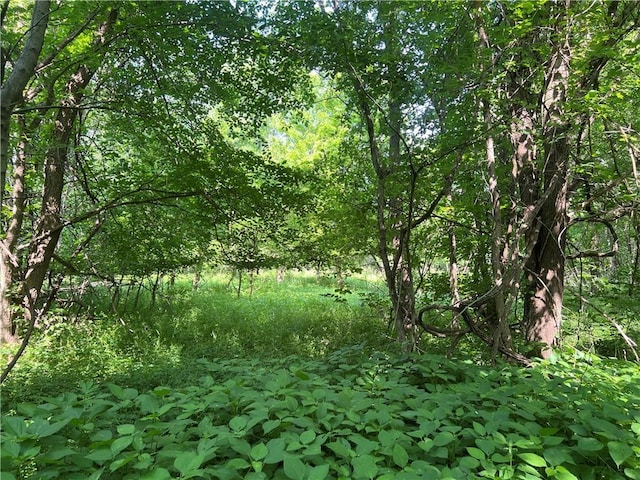 5811 Frederick Blvd, Saint Joseph, MO 64507 - view of tree filled area