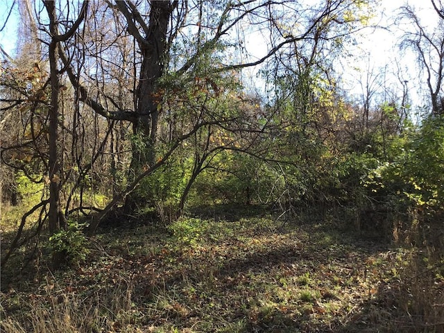 5811 Frederick Blvd, Saint Joseph, MO 64507 - view of woods