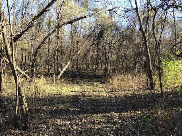 5811 Frederick Blvd, Saint Joseph, MO 64507 - view of tree filled area
