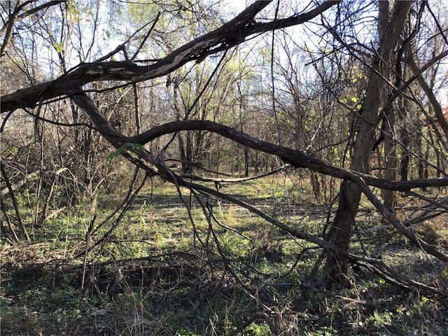 5811 Frederick Blvd, Saint Joseph, MO 64507 - view of tree filled area