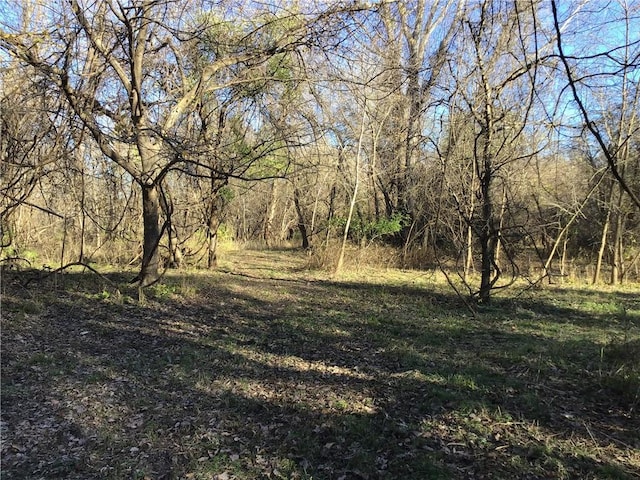5811 Frederick Blvd, Saint Joseph, MO 64507 - view of woods