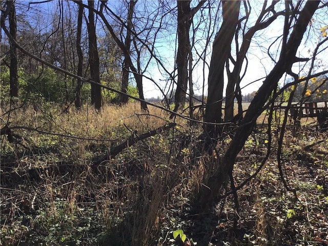 5811 Frederick Blvd, Saint Joseph, MO 64507 - view of undeveloped land
