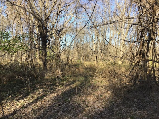 5811 Frederick Blvd, Saint Joseph, MO 64507 - view of wooded area
